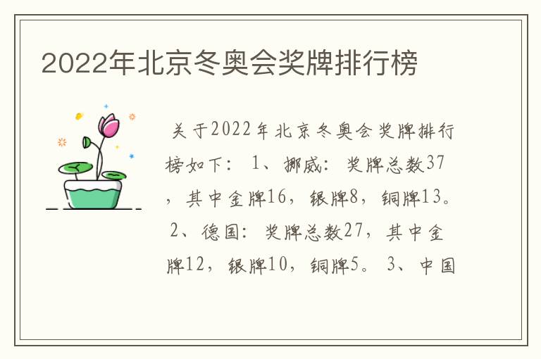 2022年北京冬奥会奖牌排行榜