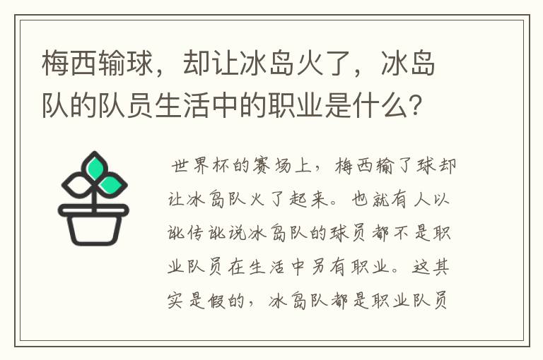 梅西输球，却让冰岛火了，冰岛队的队员生活中的职业是什么？