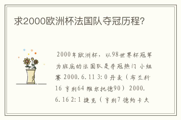 求2000欧洲杯法国队夺冠历程？