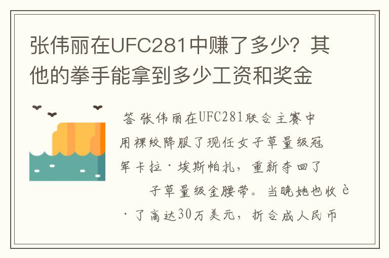 张伟丽在UFC281中赚了多少?其他的拳手能拿到多少工资和奖金?