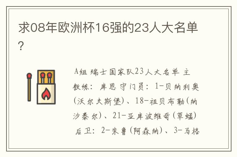 求08年欧洲杯16强的23人大名单？