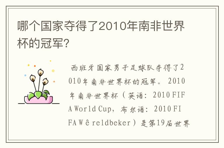 哪个国家夺得了2010年南非世界杯的冠军？