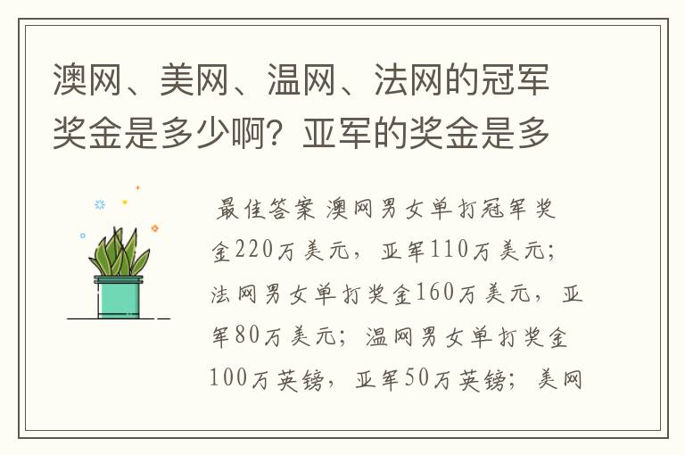 澳网、美网、温网、法网的冠军奖金是多少啊？亚军的奖金是多少啊？