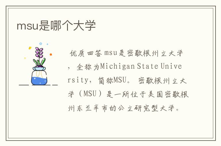 msu是哪个大学