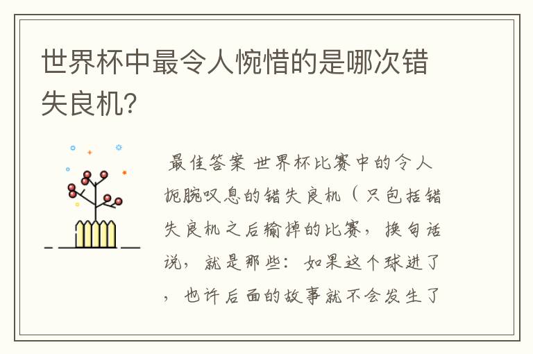 世界杯中最令人惋惜的是哪次错失良机？