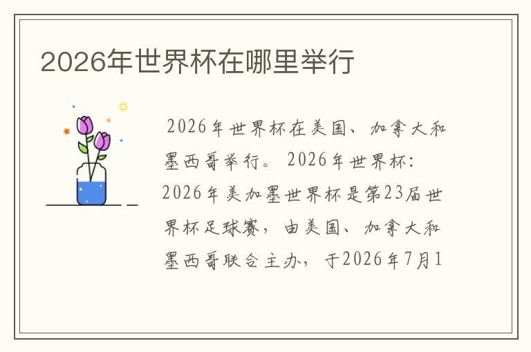 2026年世界杯在哪里举行