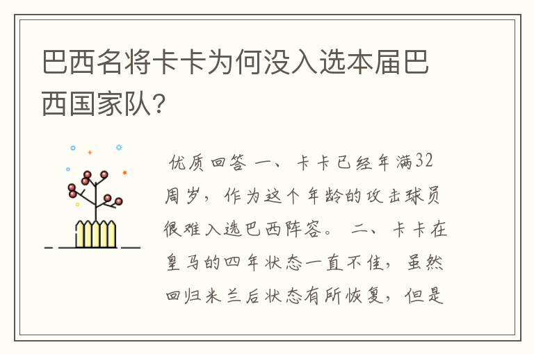 巴西名将卡卡为何没入选本届巴西国家队?