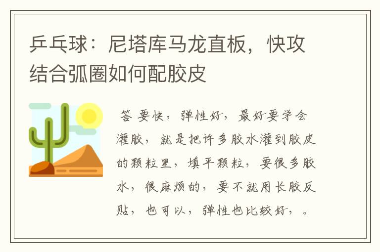 乒乓球：尼塔库马龙直板，快攻结合弧圈如何配胶皮