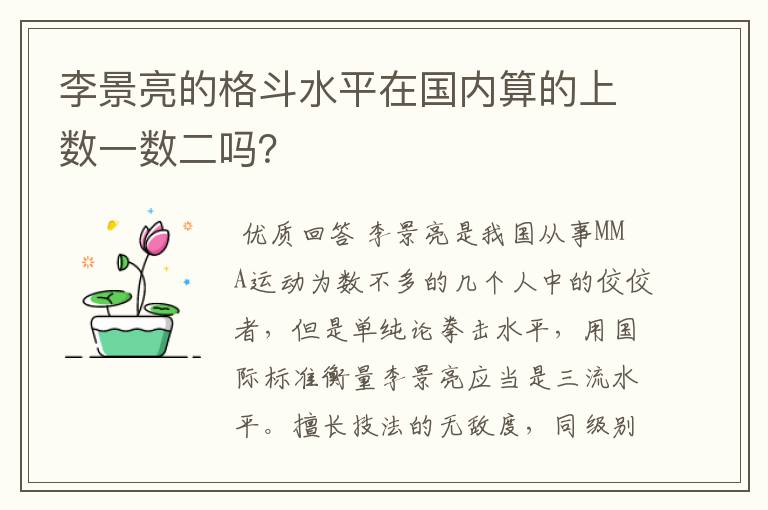 李景亮的格斗水平在国内算的上数一数二吗？