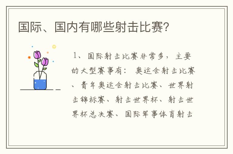 国际、国内有哪些射击比赛？