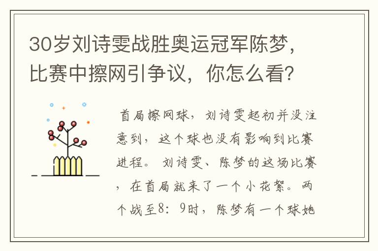 30岁刘诗雯战胜奥运冠军陈梦，比赛中擦网引争议，你怎么看？