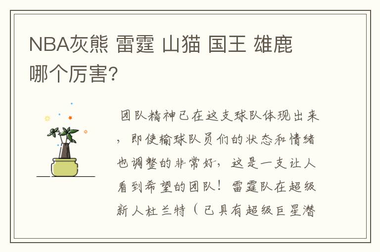 NBA灰熊 雷霆 山猫 国王 雄鹿 哪个厉害?