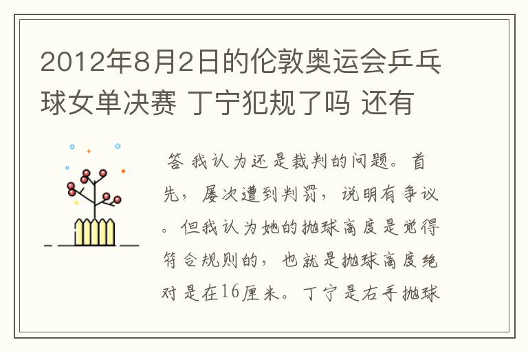 2012年8月2日的伦敦奥运会乒乓球女单决赛 丁宁犯规了吗 还有奥运会上的裁判胡乱判罚没有任何惩罚的吗？