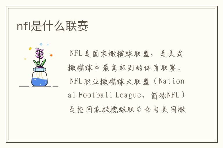 nfl是什么联赛