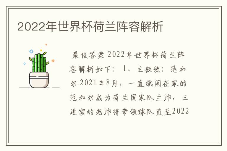 2022年世界杯荷兰阵容解析