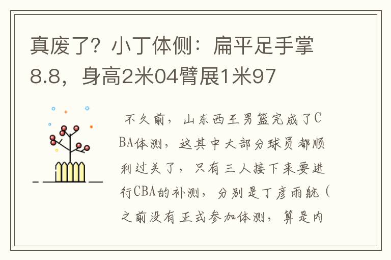 真废了？小丁体侧：扁平足手掌8.8，身高2米04臂展1米97