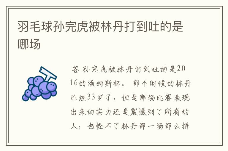 羽毛球孙完虎被林丹打到吐的是哪场