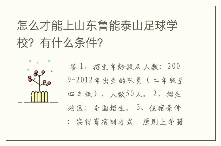 怎么才能上山东鲁能泰山足球学校？有什么条件？