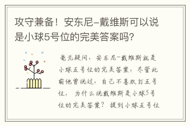 攻守兼备！安东尼-戴维斯可以说是小球5号位的完美答案吗？