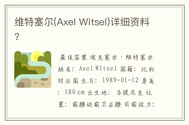 维特塞尔(Axel Witsel)详细资料?