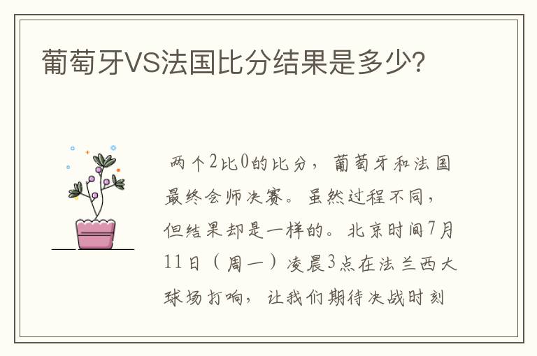 葡萄牙VS法国比分结果是多少？