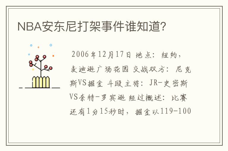 NBA安东尼打架事件谁知道？