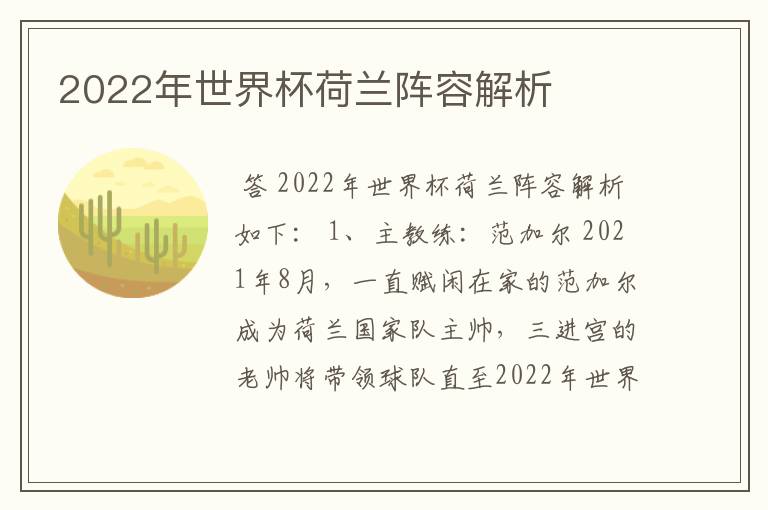 2022年世界杯荷兰阵容解析