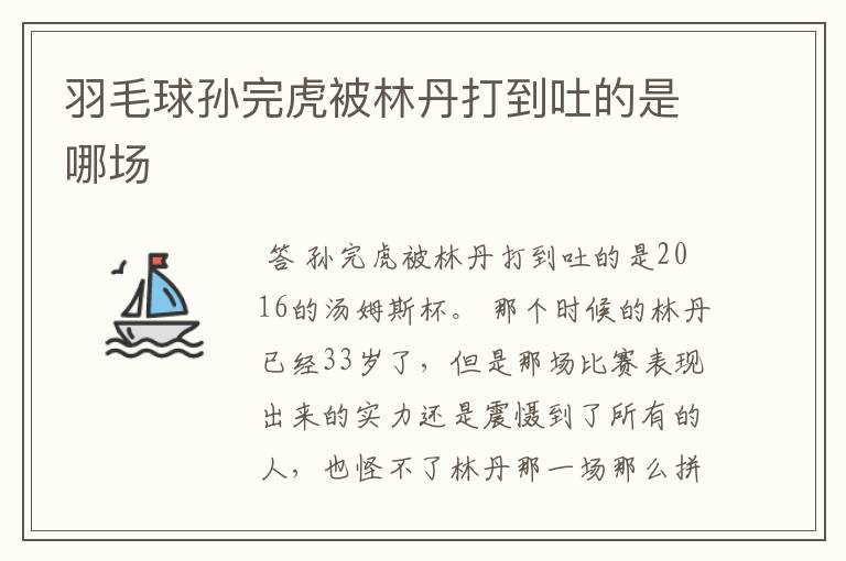 羽毛球孙完虎被林丹打到吐的是哪场