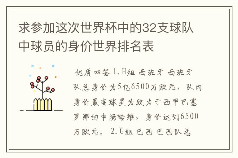 求参加这次世界杯中的32支球队中球员的身价世界排名表