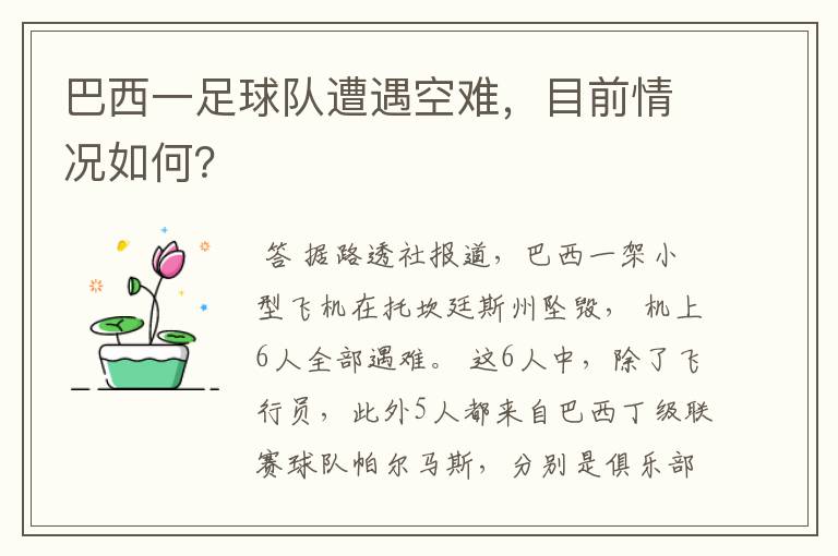 巴西一足球队遭遇空难，目前情况如何？