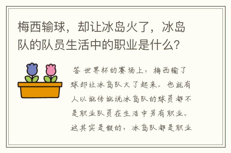 梅西输球，却让冰岛火了，冰岛队的队员生活中的职业是什么？