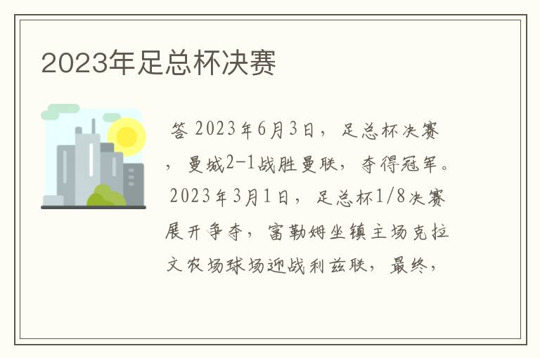 2023年足总杯决赛