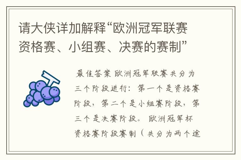 请大侠详加解释“欧洲冠军联赛资格赛、小组赛、决赛的赛制”？