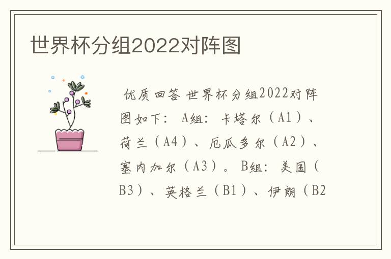 世界杯分组2022对阵图