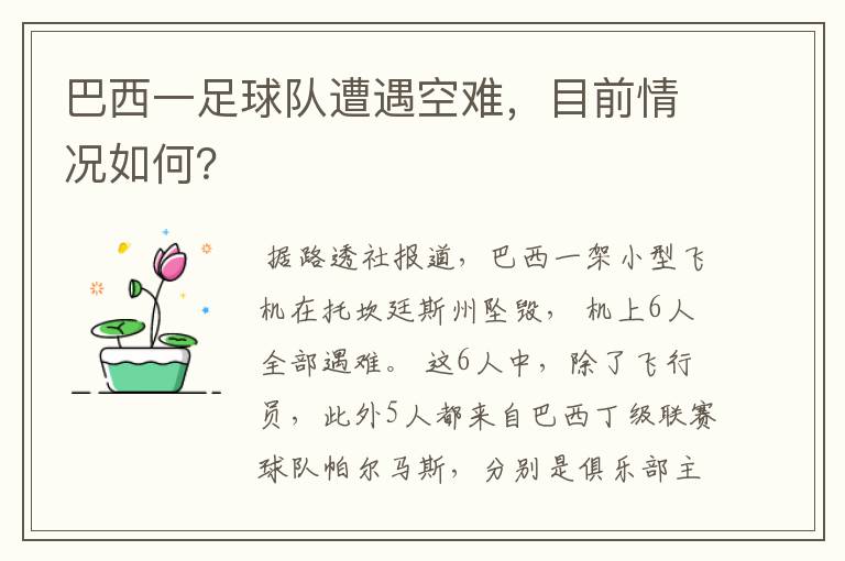 巴西一足球队遭遇空难，目前情况如何？