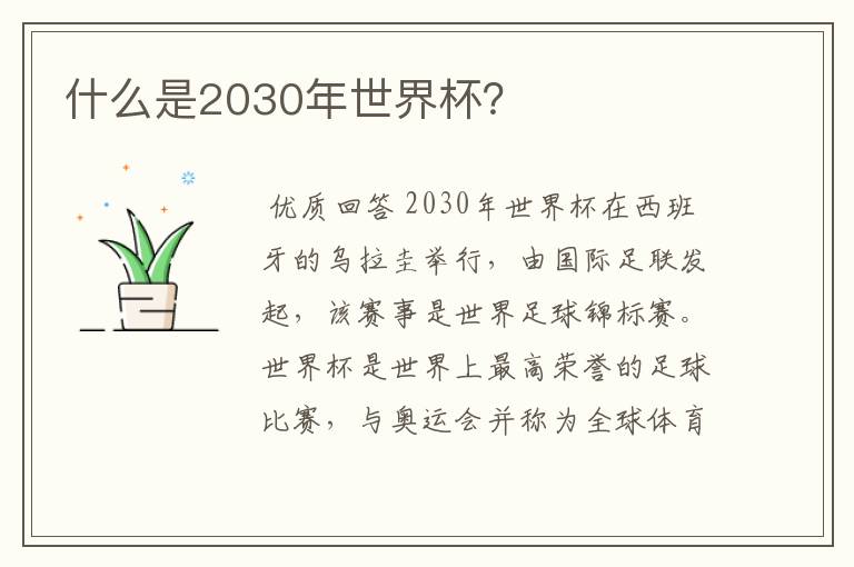 什么是2030年世界杯？