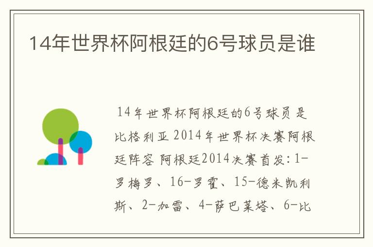 14年世界杯阿根廷的6号球员是谁