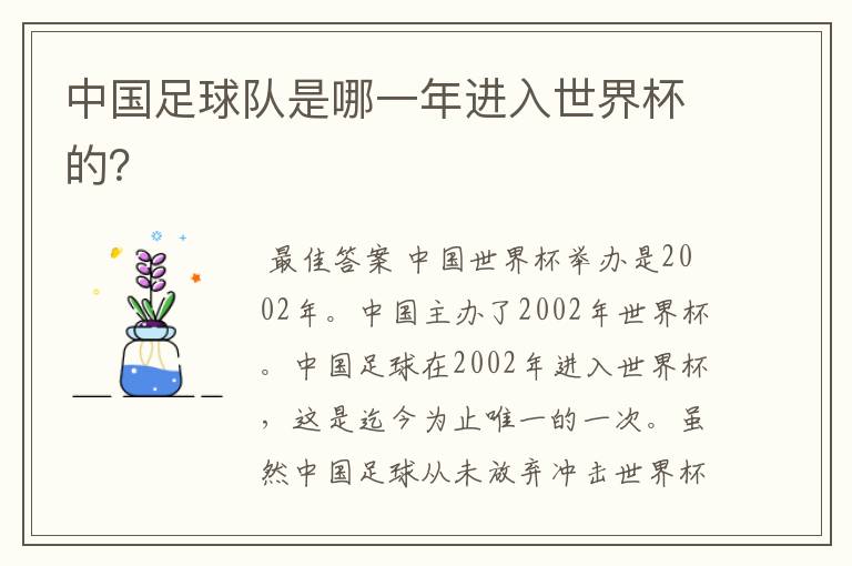 中国足球队是哪一年进入世界杯的？