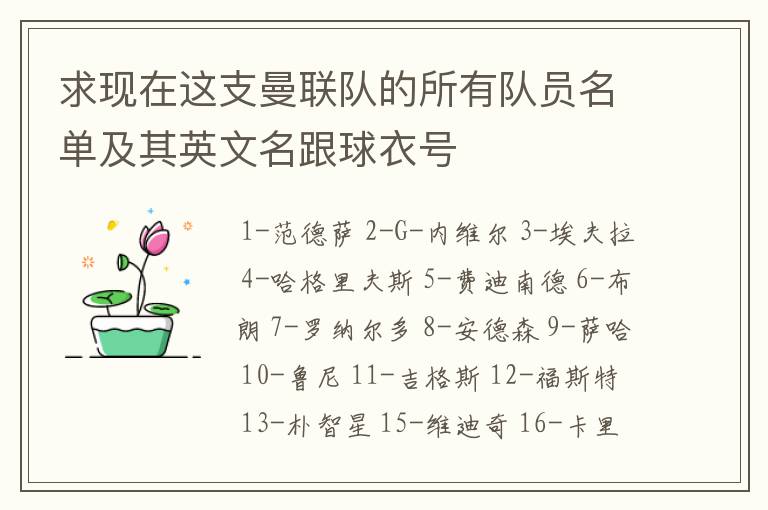 求现在这支曼联队的所有队员名单及其英文名跟球衣号