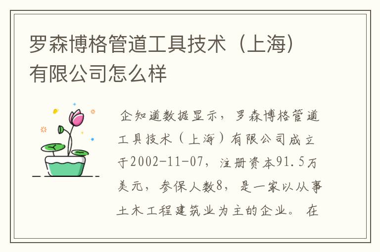 罗森博格管道工具技术（上海）有限公司怎么样