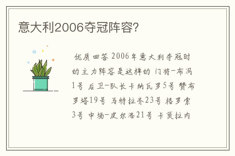 意大利2006夺冠阵容？