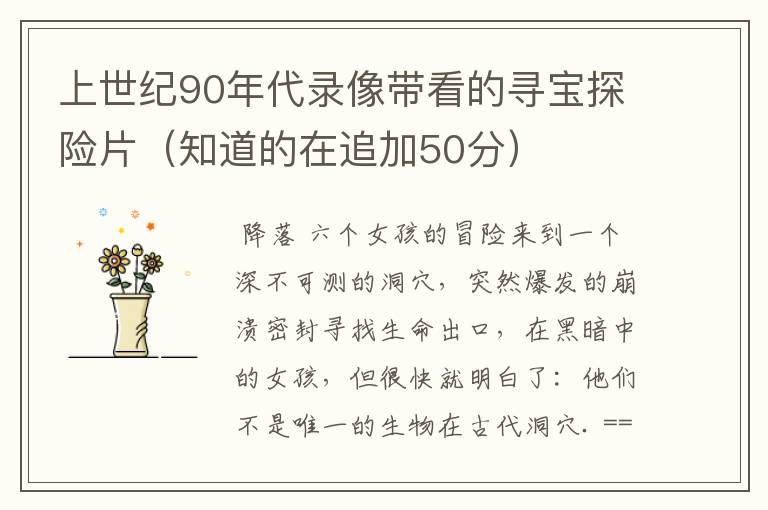 上世纪90年代录像带看的寻宝探险片(知道的在追加50分)