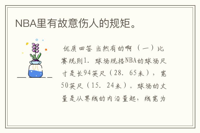 NBA里有故意伤人的规矩。