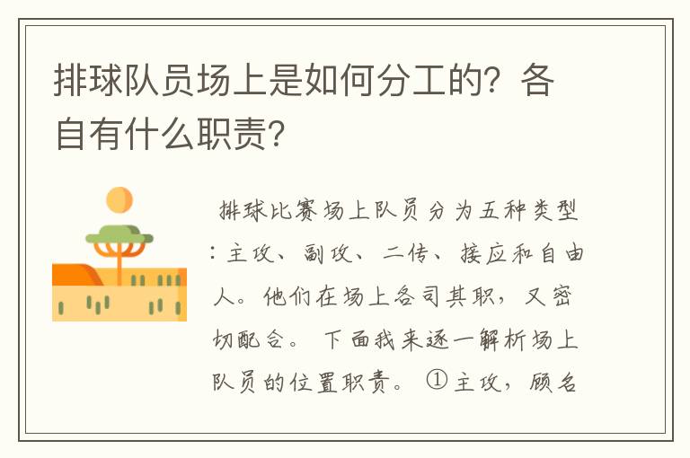 排球队员场上是如何分工的？各自有什么职责？