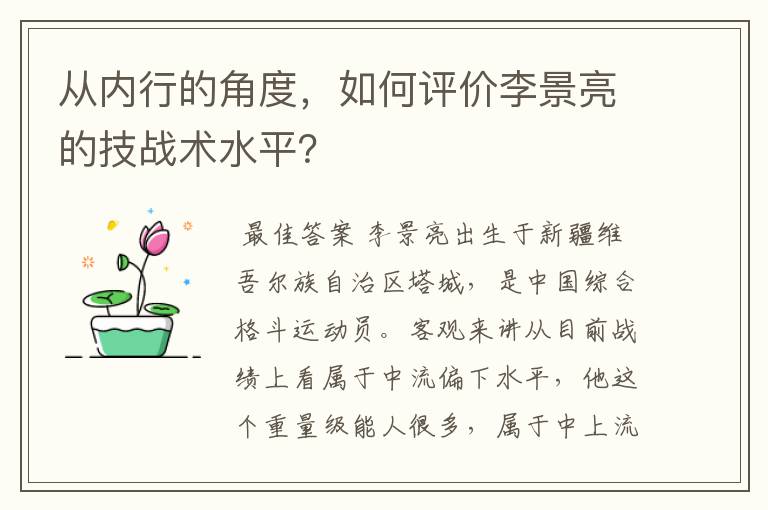 从内行的角度，如何评价李景亮的技战术水平？