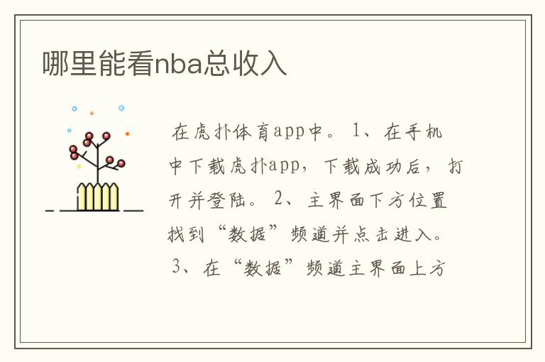 哪里能看nba总收入