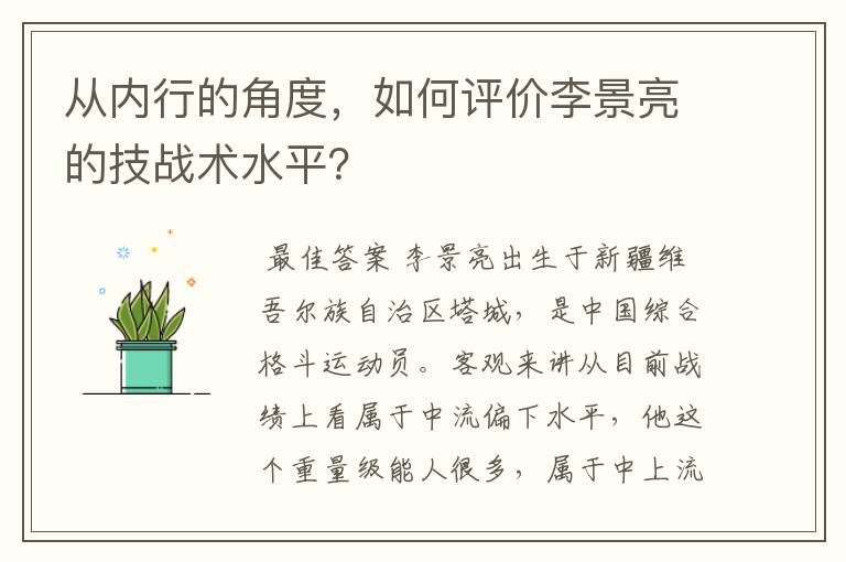 从内行的角度，如何评价李景亮的技战术水平？