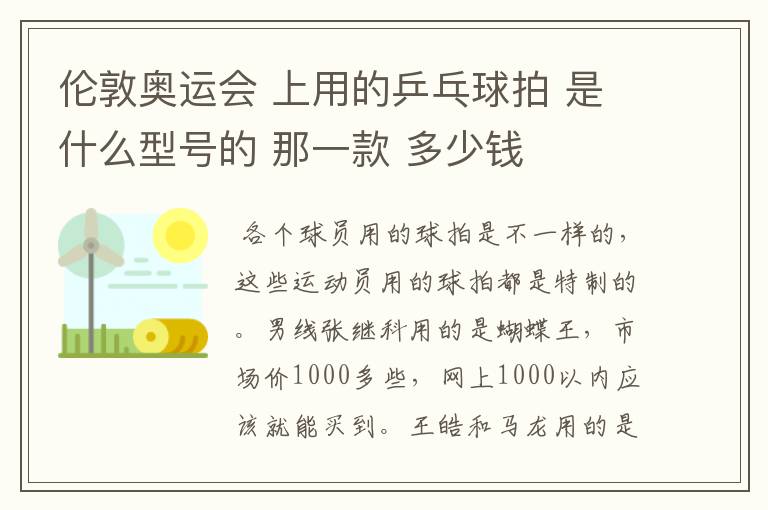 伦敦奥运会 上用的乒乓球拍 是什么型号的 那一款 多少钱