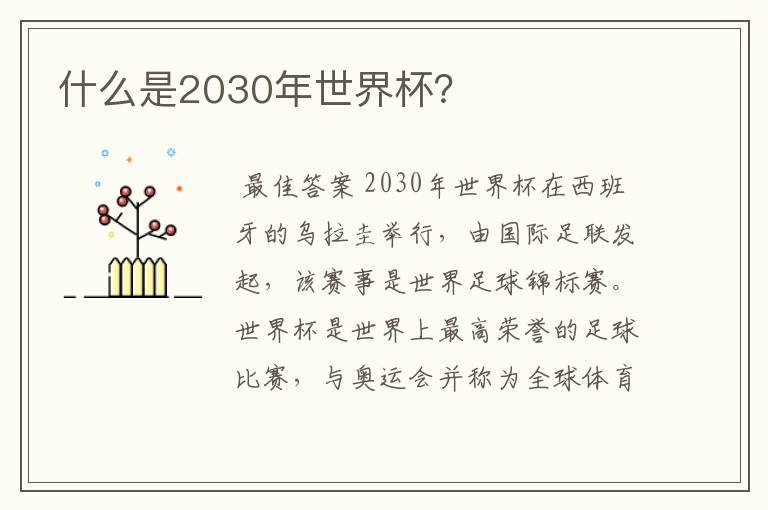 什么是2030年世界杯？