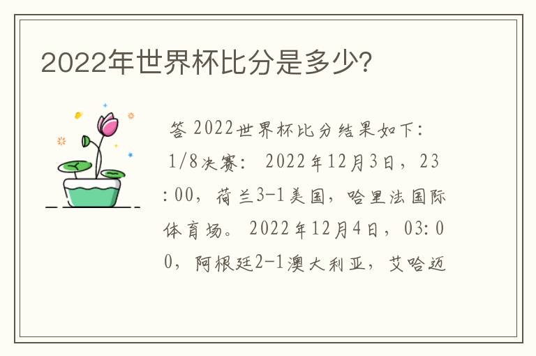 2022年世界杯比分是多少？